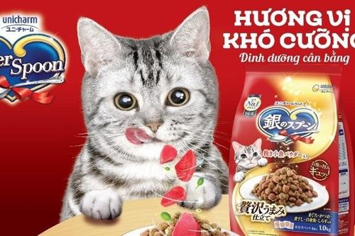 Silver Spoon - thức ăn cho mèo hàng đầu Nhật Bản đã bán tại Việt Nam