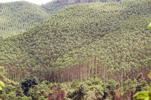 Sự sống nảy mầm trên những vùng 'đất chết' - Bài 4: An dân giữ đất biên cương