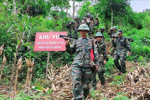 Sự sống nảy mầm trên những vùng 'đất chết' - Bài cuối: Dấu ấn trên những vùng đất hồi sinh