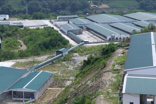 Trang trại lợn công nghệ cao ở Yên Bái tiếp tục gây ô nhiễm môi trường
