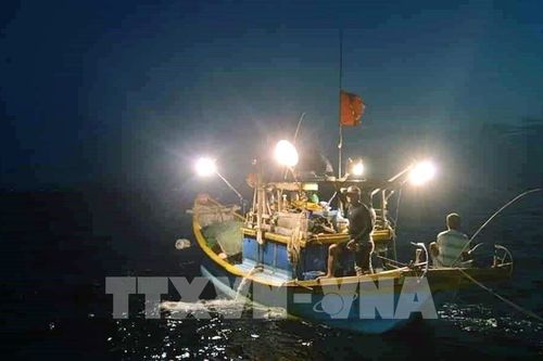 Quảng Ninh: Ngăn chặn các dịch vụ du lịch tự phát trên vịnh Hạ Long