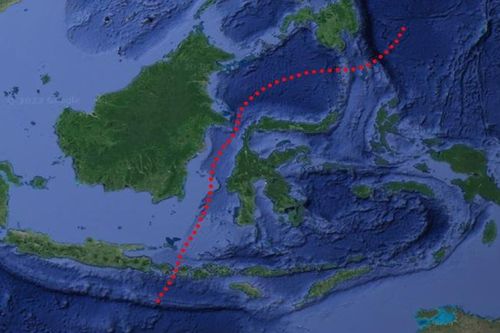 Bí ẩn về rào cản vô hình ngăn cách các loài động vật châu Á và châu Úc cuối cùng đã tìm được lời giải