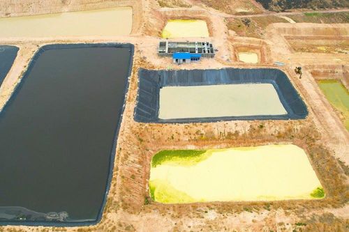 Không có giấy phép môi trường, trang trại chăn nuôi lợn bị xử phạt 320 triệu đồng