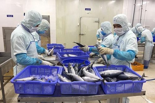 Ký kết FTA Việt Nam - Israel là nỗ lực rất lớn của Bộ Công Thương
