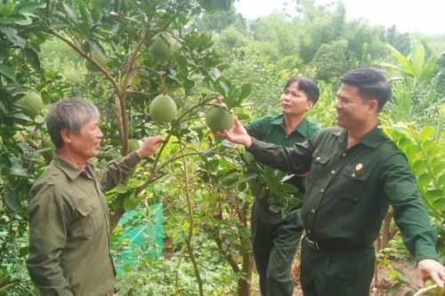 Những cựu chiến binh Bảo Thẳng xung kích trên trận tuyến mới