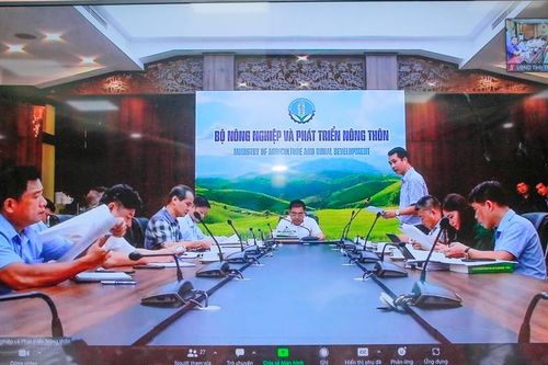 Tháo gỡ khó khăn, vướng mắc trong lĩnh vực lâm nghiệp