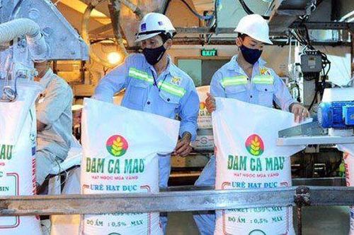 Đạm Cà Mau (DCM): Biên lãi gộp chỉ bằng 1/3 cùng kỳ năm ngoái, mang 10.500 tỷ gửi ngân hàng lấy lãi
