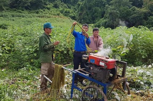 Phát huy hiệu quả mô hình kinh tế của đoàn viên, thanh niên