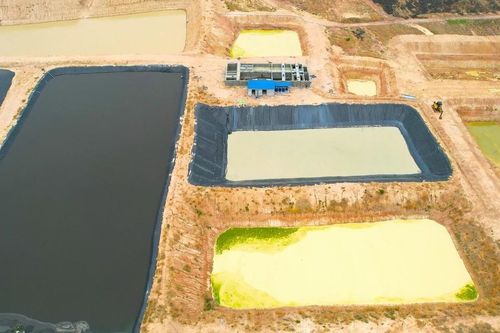 Gia Lai: Xử phạt 4 công ty chăn nuôi heo không có giấy phép môi trường trên 1 tỷ đồng
