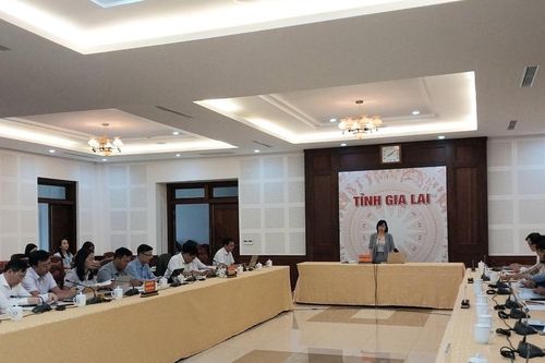 Phó Chủ tịch UBND tỉnh Nguyễn Thị Thanh Lịch: Đẩy mạnh vận động, tuyên truyền nâng cao tỷ lệ người dân tham gia BHYT