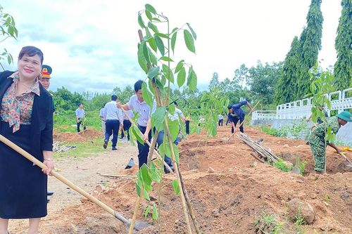 Trồng 250 cây kèn hồng tại khu vực Đài tưởng niệm liệt sĩ huyện Ia Pa