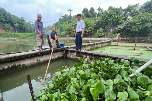 Tăng cường phòng, chống ô nhiễm nguồn nước nuôi thủy sản