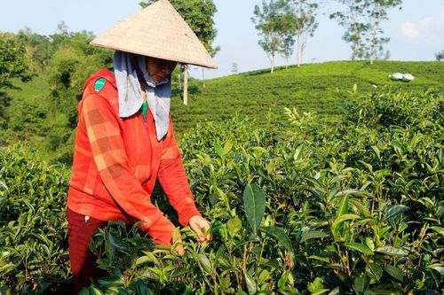 Định Hóa: Quyết tâm về đích nông thôn mới trong năm 2023