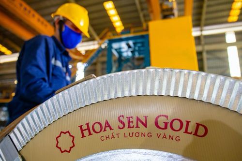 Dragon Capital vừa bán ra hơn 1 triệu cổ phiếu HSG của Tập đoàn Hoa Sen