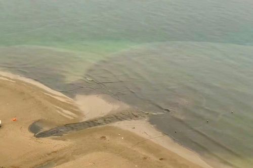 Nha Trang: Sẽ xử lý dứt điểm vụ xả nước thải ra biển