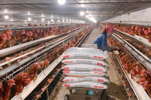 Việt Nam thu trên 400 triệu USD từ xuất khẩu động vật, sản phẩm động vật