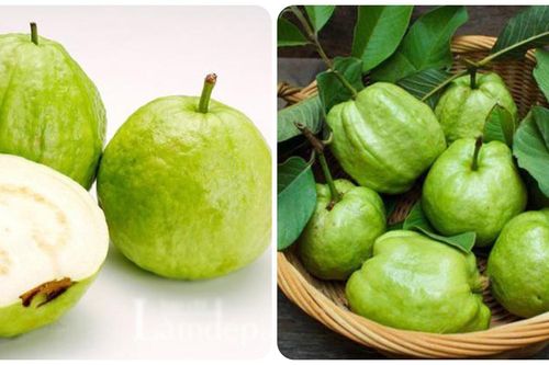 Ăn ổi có tốt không?