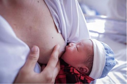 Những món ăn giúp sữa mẹ đặc và thơm