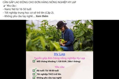 Chấp thuận cho 3 doanh nghiệp tuyển dụng lao động đi làm việc tại Hy Lạp