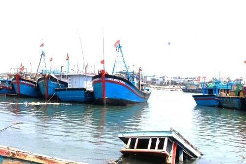 Gỡ rào cản để phát triển nghề cá