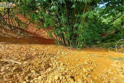 Chấn chỉnh bất cập khi thi công các công trình tại làng du lịch Khuổi Khon