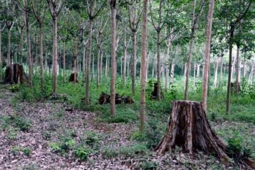 Khai trừ khỏi Đảng nguyên Bí thư Đảng ủy, nguyên Giám đốc Sở Nông nghiệp và Phát triển nông thôn Lâm Đồng