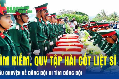 Tọa đàm: Tìm kiếm, quy tập hài cốt liệt sĩ-Câu chuyện về đồng đội đi tìm đồng đội