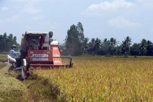 Nông nghiệp 6 tháng đầu năm 2023 - Những gam màu sáng, tối
