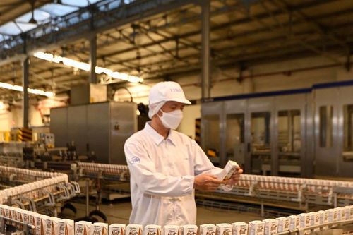 Nhiều doanh nghiệp Nhật Bản cam kết gia tăng xuất khẩu cho hàng hóa Việt Nam