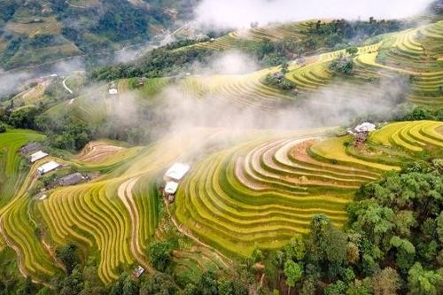 Ruộng bậc thang Hoàng Su Phì: 'Tác phẩm' nghệ thuật làm say đắm lòng người