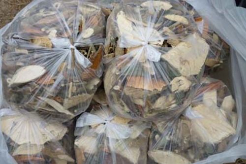 Viêm gan cấp sau uống thuốc nam chữa dạ dày