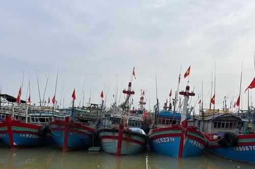 Thành lập Kiểm ngư tỉnh Thanh Hóa