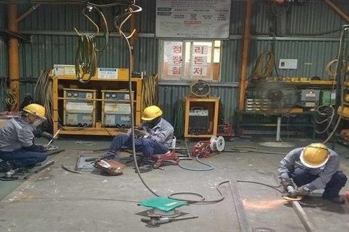 Giáo viên đi xuất khẩu lao động: 'Lương thấp, phải tự cứu lấy mình'