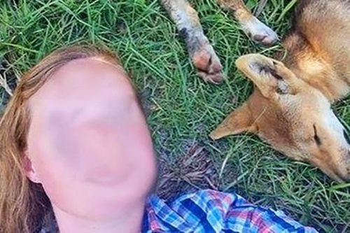 Du khách bị phạt hơn 35 triệu đồng vì chụp ảnh tự sướng cùng chó hoang