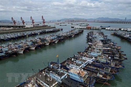 Bão Doksuri mạnh lên thành siêu bão, Trung Quốc nâng mức ứng phó