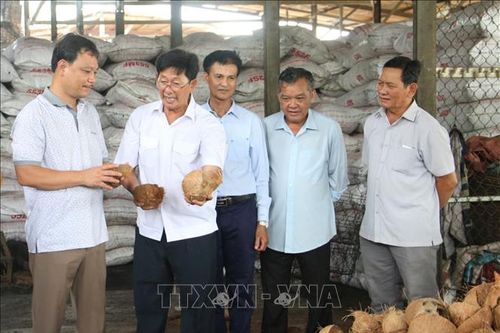 Cựu chiến binh 'xứ dừa' đồng lòng, tương trợ phát triển kinh tế