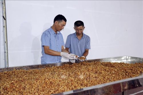 Những thanh niên dám nghĩ, dám làm ở vùng biên Sông Mã