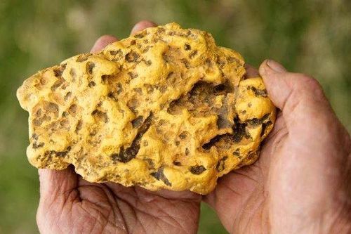 Người đàn ông gom rác bất ngờ 'đổi đời' nhờ đào được cục vàng 4,3kg