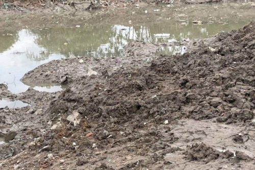 Đồng Nai: Phát hiện thi thể người phụ nữ bên bờ suối