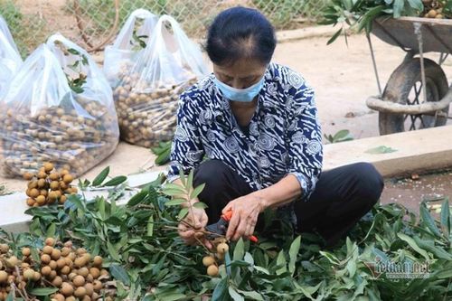 Những ai không nên ăn nhãn?