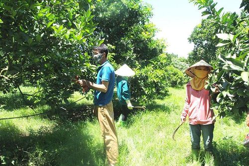 Thức dậy vùng đất một thời bị lãng quên