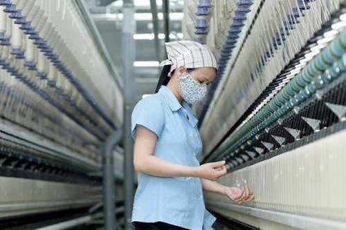 Dự báo Sợi Thế Kỷ (STK) dẫn dắt đà phục hồi toàn ngành, sản lượng tiêu thụ tiếp tục khởi sắc về cuối năm