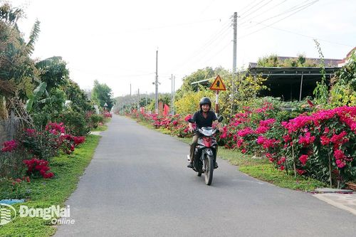 Triển khai nhiều giải pháp đột phá trong xây dựng nông thôn mới