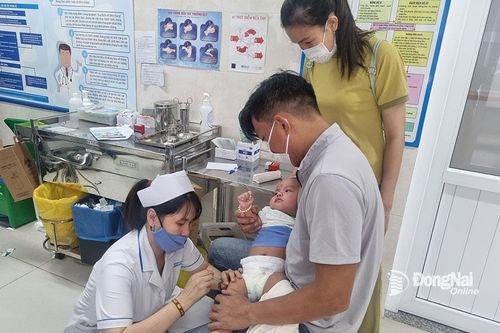 Gần 186 ngàn liều vaccine 5 trong 1 đã về Việt Nam