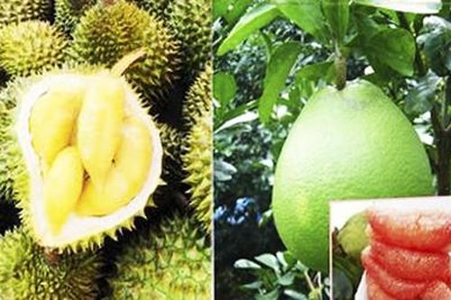 Khai mạc Phiên chợ nông sản và sản phẩm OCOP 2023