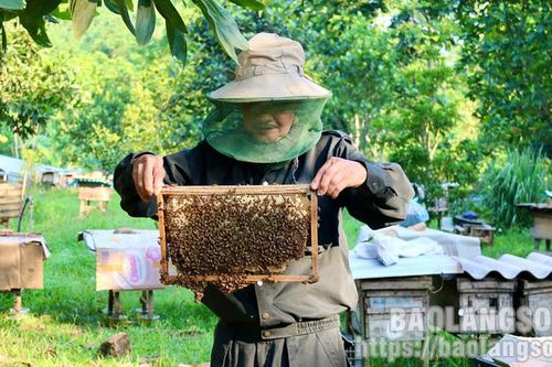 Nghị lực vươn lên của một thương binh