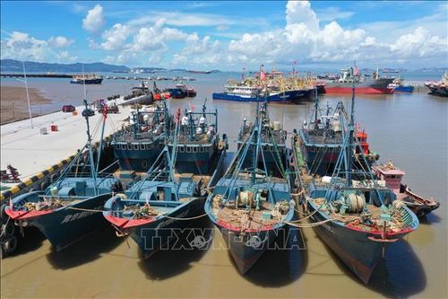 Trung Quốc nâng mức ứng phó khẩn cấp với siêu bão Doksuri