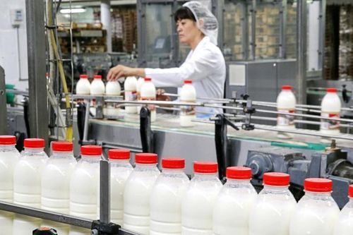 Sữa Hà Nội (HNM): Lãi ròng nửa đầu năm 2023 tăng 53%
