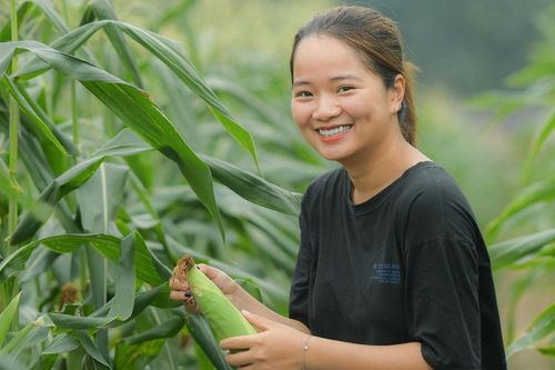 Học viện Nông nghiệp Việt Nam công bố điểm sàn theo kết quả thi THPT