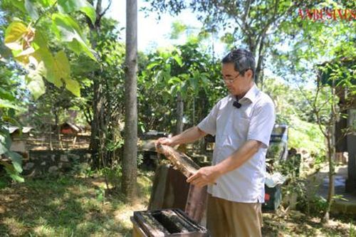 HTX nuôi ong thu 'mật ngọt' từ tinh hoa rừng Cúc Phương